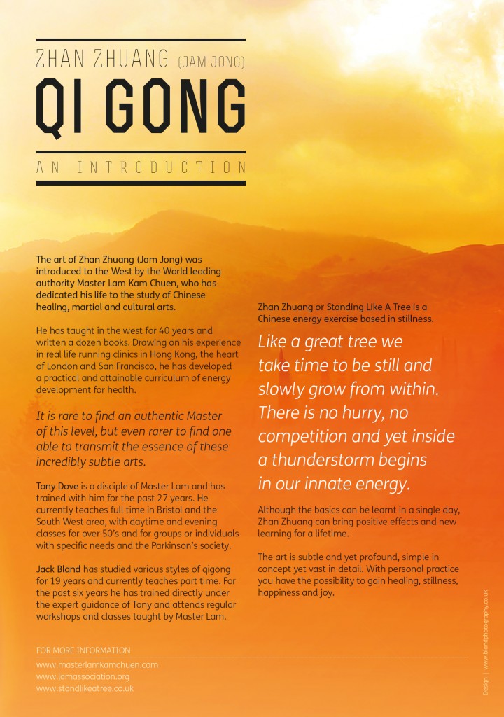 Qigong Leaflet back
